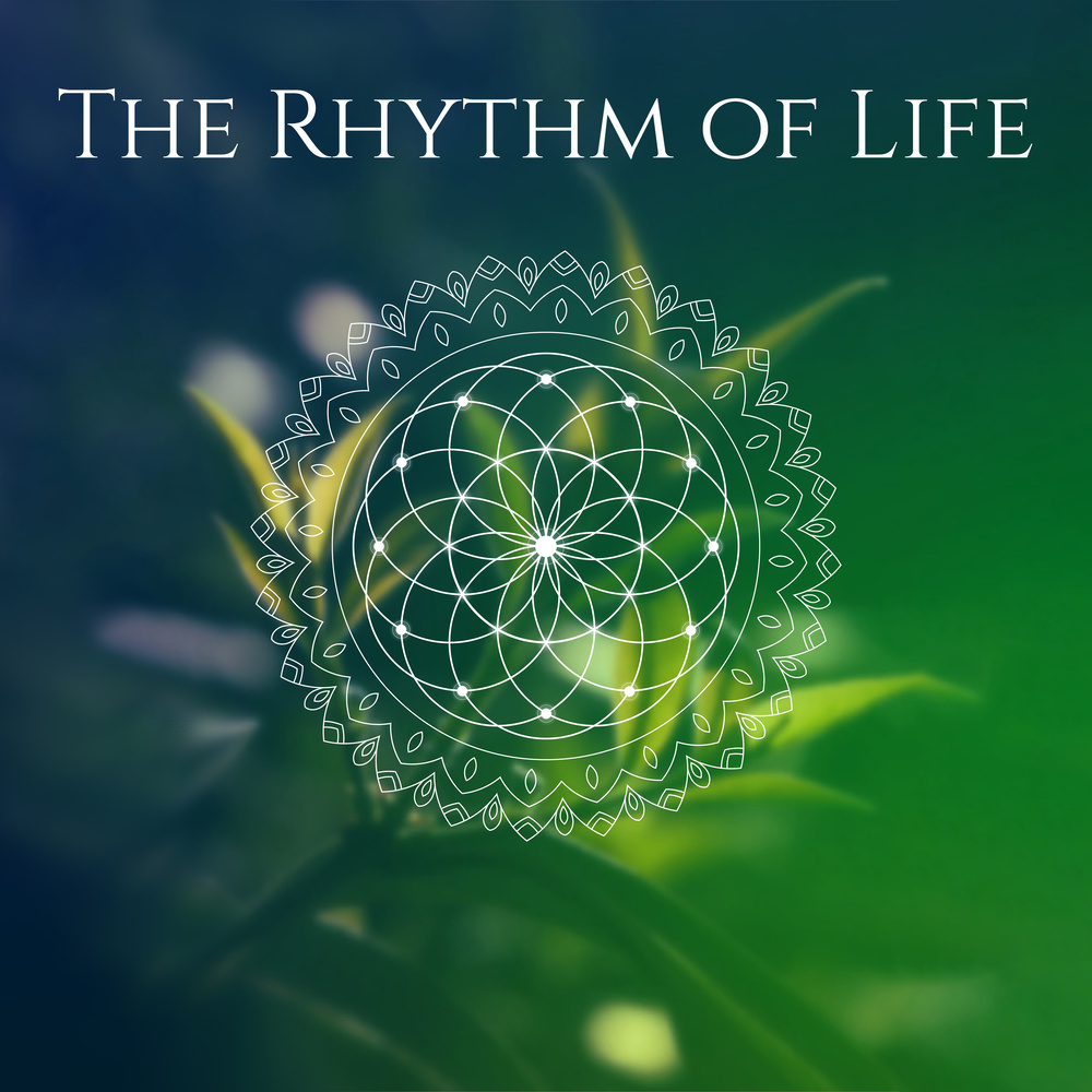 Life in the Rhythm of Harmony