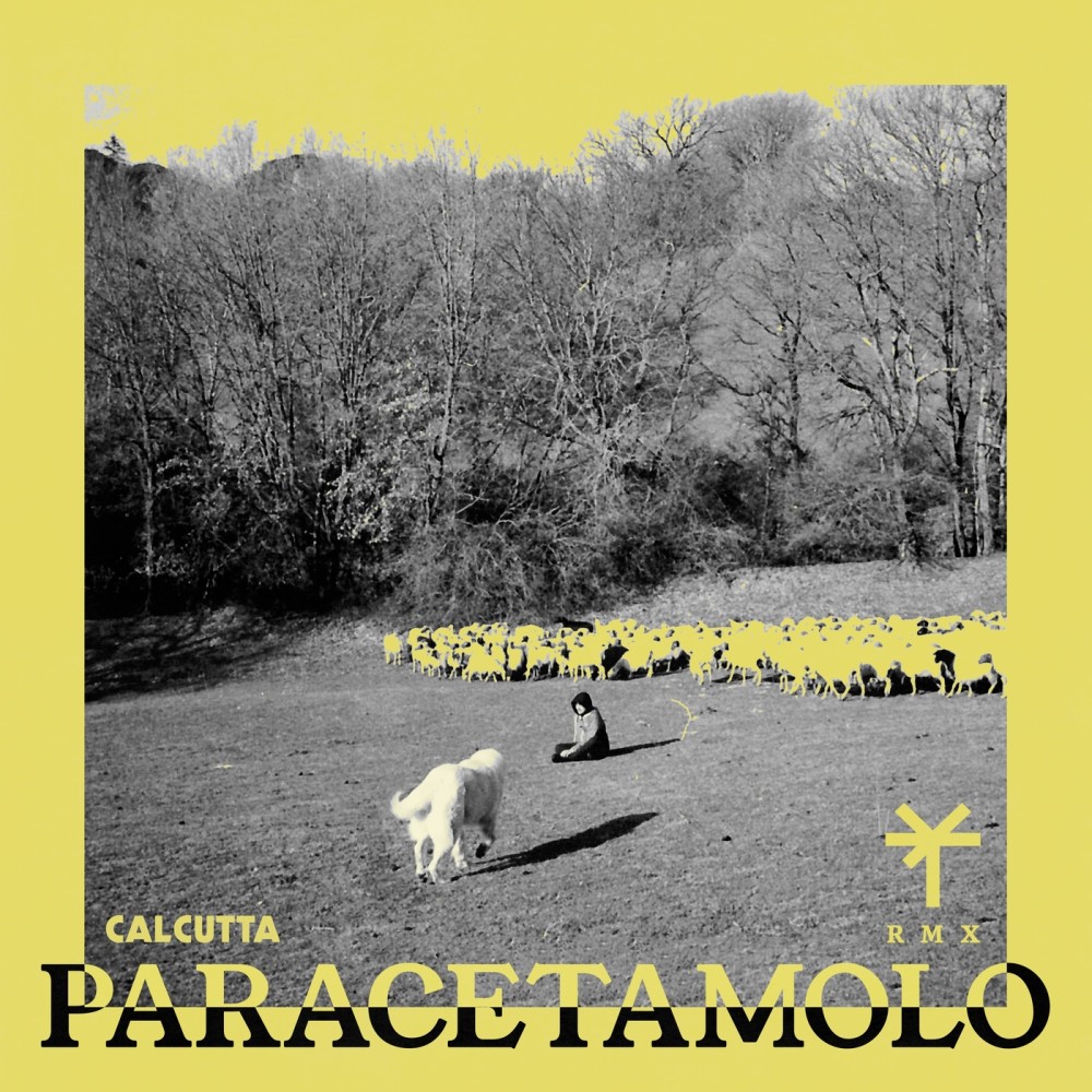 Paracetamolo (TY1 Remix) (TY1 Remix|Explicit)
