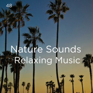 收聽Deep Sleep的Nature Birds Chirping歌詞歌曲