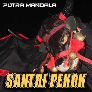 Dengarkan Santri Pekok lagu dari PUTRA MANDALA dengan lirik