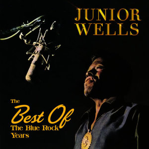 ดาวน์โหลดและฟังเพลง Messing with the Kid พร้อมเนื้อเพลงจาก Junior Wells