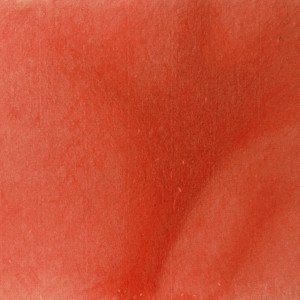 收聽NAKAMURA的La Petite Mort歌詞歌曲