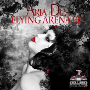 Album Flying Arena oleh Aria Des