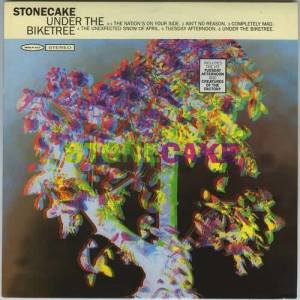ดาวน์โหลดและฟังเพลง Ain't No Reason พร้อมเนื้อเพลงจาก Stonecake