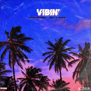Album Vibin' (feat. Zilla oaks) from Jaguarabel