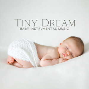 Dengarkan lagu Subtle Sleep Melody nyanyian Baby Bath Time Music Academy dengan lirik