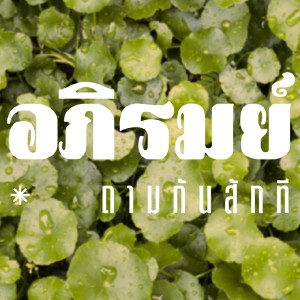 Listen to ถามกันสักที song with lyrics from อภิรมย์