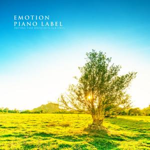 Emotional Piano Meditation To Calm Stress dari Various Artists