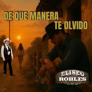 ดาวน์โหลดและฟังเพลง De Que Manera Te Olvido พร้อมเนื้อเพลงจาก Eliseo Robles
