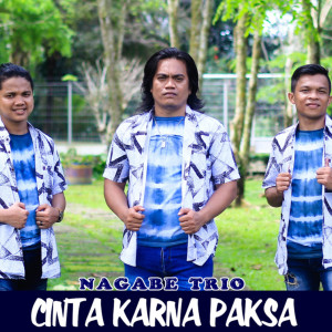 Listen to Cinta Karna Paksa song with lyrics from Nagabe Trio