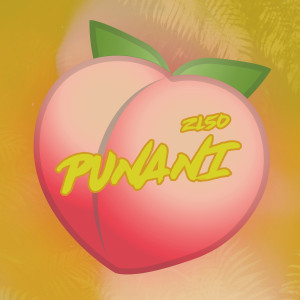 Listen to Punani song with lyrics from Zl50