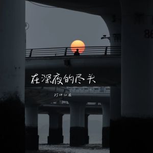 Album 在深夜的尽头 from 