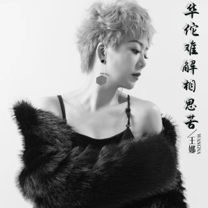 Album 华佗难解相思苦 from 王娜