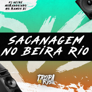 Listen to SACANAGEM NO BEIRA RIO (Explicit) song with lyrics from RVS Prod
