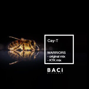 ดาวน์โหลดและฟังเพลง Warriors (Original Mix) พร้อมเนื้อเพลงจาก Cay-T