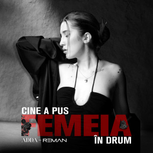 Album Cine a pus femeia în drum from ADDA