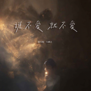 Album 说不爱就不爱 from 王唯一