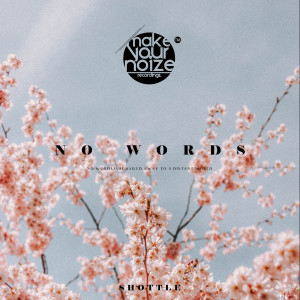 Listen to No Words song with lyrics from Shottle