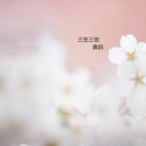 Listen to 盛开 (伴奏) song with lyrics from 袁启