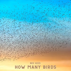 How Many Birds dari Bee Gees