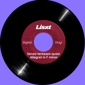 Digital Vinyl的专辑Liszt: Senza lentezza quasi Allegretto from Apparitions, S, 155
