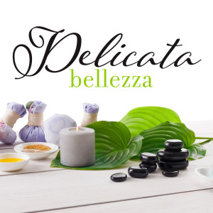 ดาวน์โหลดและฟังเพลง Musica per la meditazione พร้อมเนื้อเพลงจาก Relax Accademia di Benessere