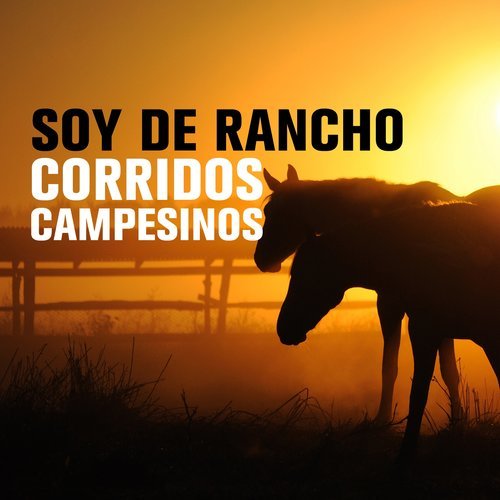 Corrido Del Caballo Mueblero