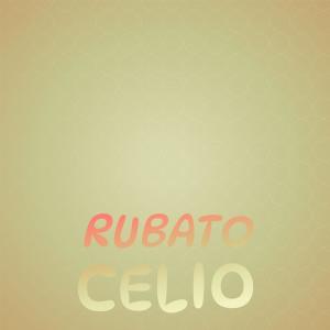 Dengarkan Rubato Celio lagu dari Saiko Engr dengan lirik