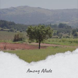 Album Among Allude from Various