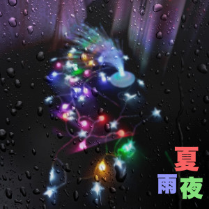 陈盈龙的专辑夏雨夜