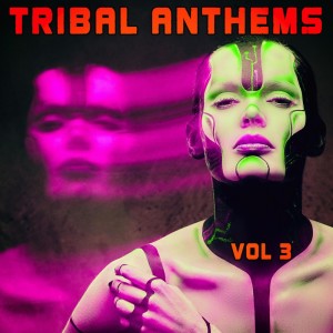 Various Artists的專輯Tribal Anthems, Vol. 3