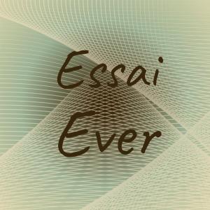 Various Artists的專輯Essai Ever