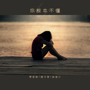 Listen to 你从来没有爱过我 song with lyrics from 季彦霖