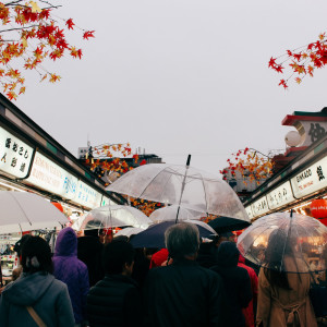 Dengarkan Downpour lagu dari Sounds of Nature Relaxation dengan lirik