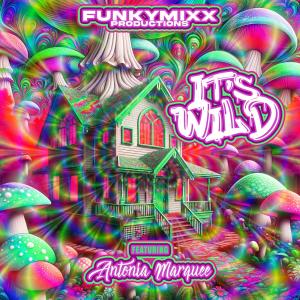 FunkyMixx Productions的專輯It's Wild (feat. Antonia Marquee)