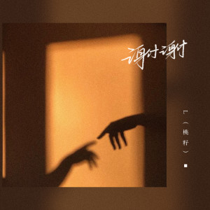 收听L（桃籽）的谢谢 (DJ版)歌词歌曲