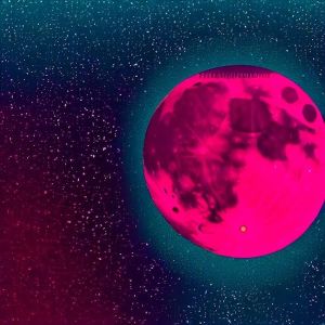 อัลบัม Moondance Exotica ศิลปิน Awkward Moments