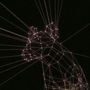 อัลบัม ANIMAL ศิลปิน Tweed & Hyenas