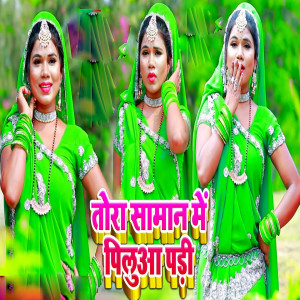 收听Sibu Bihari的Tora Saman Me Piluaa Padi歌词歌曲