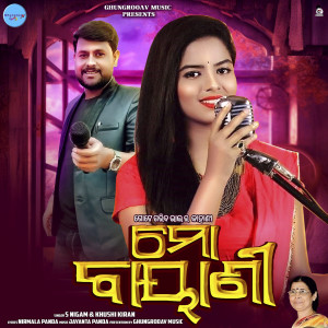 Album Mo Bayani from S Nigam