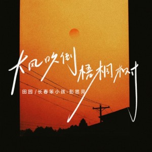Listen to 大风吹倒梧桐树 song with lyrics from 田园