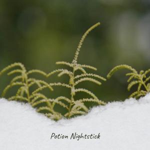 Listen to Dreamscape ** song with lyrics from Rooster Birte