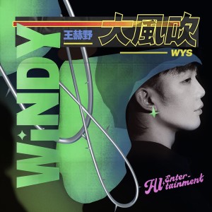 Listen to 大风吹 (DJ沈念版) song with lyrics from 沈念