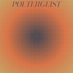 Album Poltergeist from Silvia Natiello-Spiller