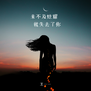 อัลบัม 来不及炫耀就失去了你 ศิลปิน 王一一
