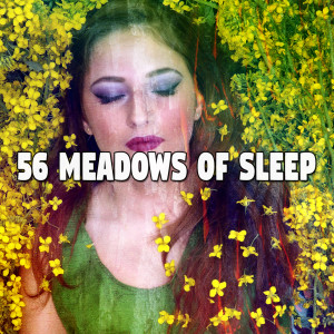 Album 56 Meadows of Sle - EP oleh Monarch Baby Lullaby Institute