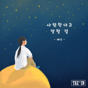 Tae In的专辑사랑한다고 말할 걸