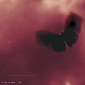 Album Taste of your lips from Vooice