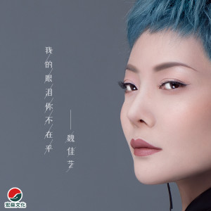Dengarkan lagu 我的眼泪你不在乎 (完整版) nyanyian 魏佳艺 dengan lirik