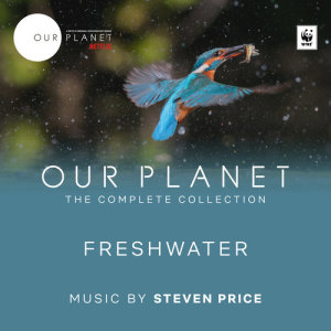 ดาวน์โหลดและฟังเพลง The Odds Will Change (From "Our Planet") พร้อมเนื้อเพลงจาก Steven Price
